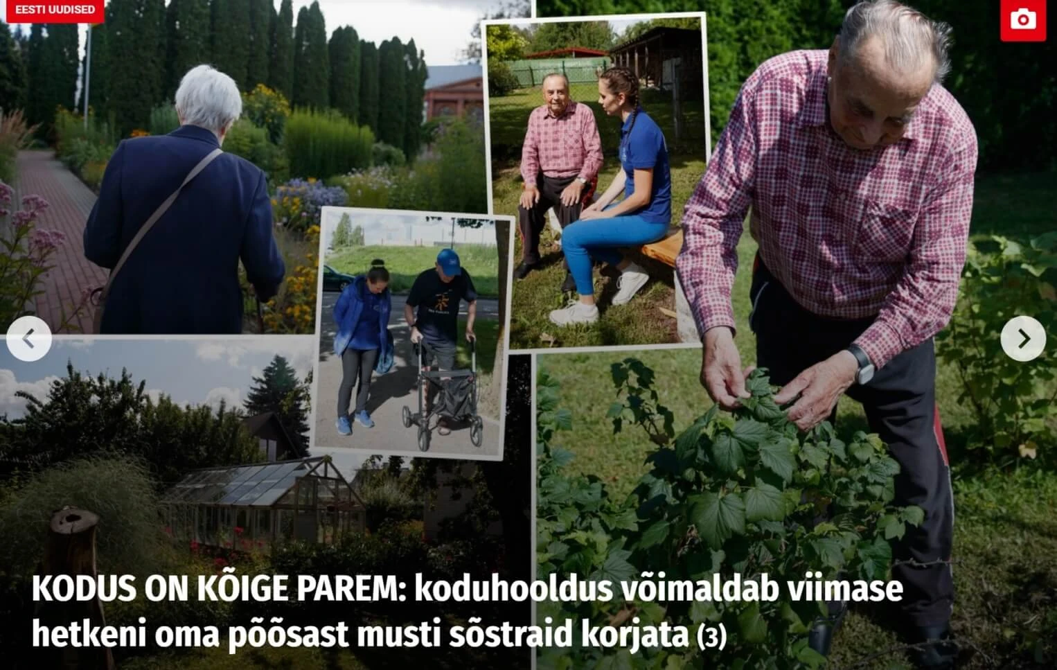 Estkeer koduhooldus - artikkel