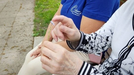 Blogi koduhooldusest