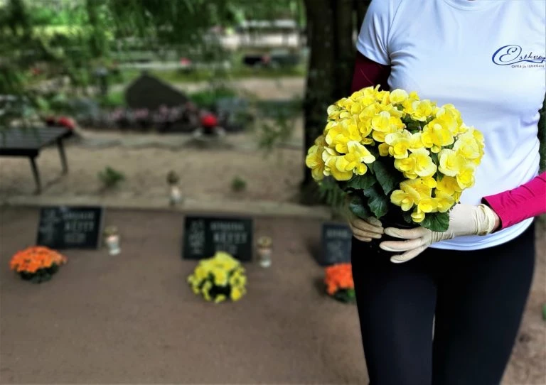 Hauaplatsi korrashoid